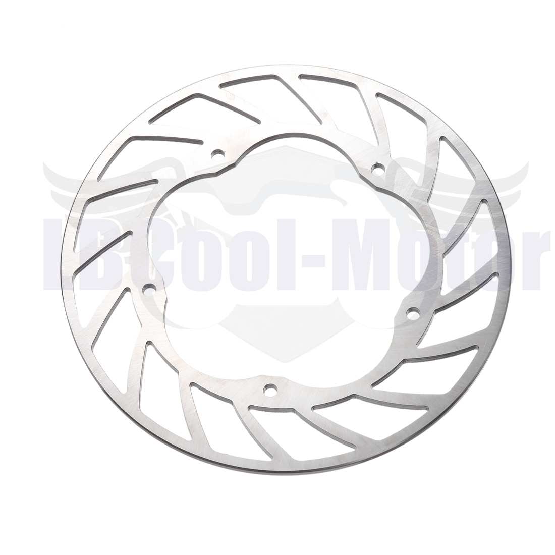 Brake Rotor - Rotor cakram rem roda belakang BMW
